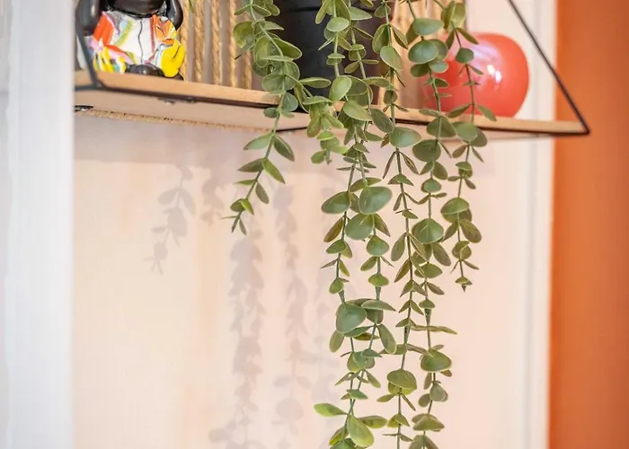 Cosy Maison Charmante Au Coeur Du Centre Historique 別荘 *